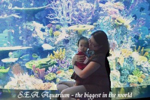 SG_SEA Aquarium